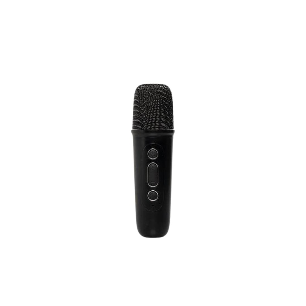 TERAMO - Portable Karaoke Speaker Set with Wireless Microphone